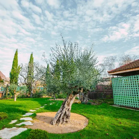 Santolina Etrusca Bed And Breakfast & Sauna, Hammam, Jacuzzi Rouffach Exterior foto
