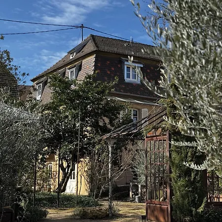 Santolina Etrusca Bed And Breakfast & Sauna, Hammam, Jacuzzi Rouffach Exterior foto