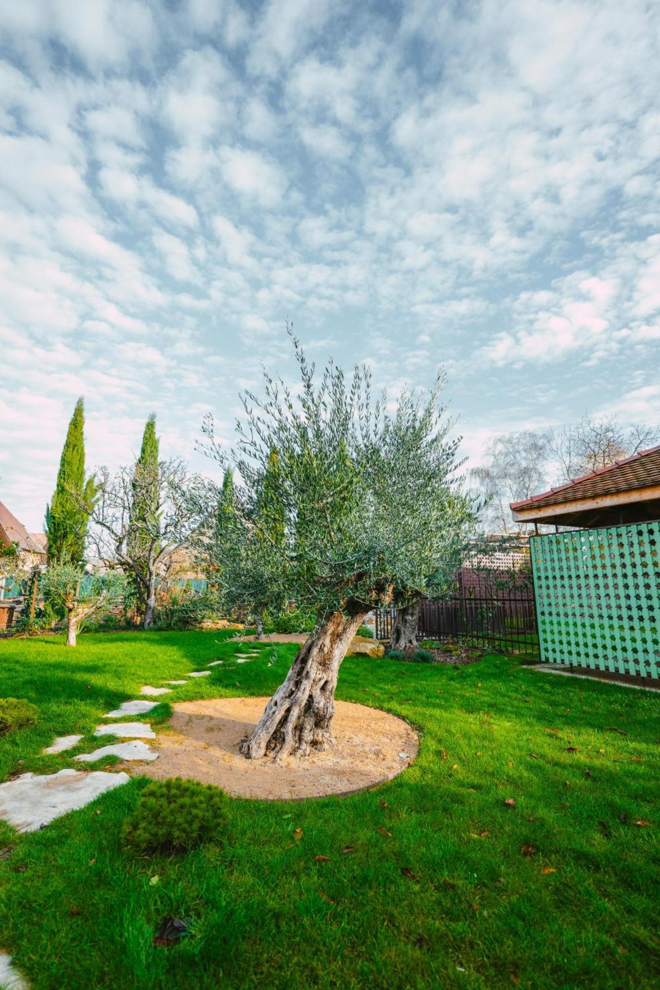 Casa vacanze Santolina Etrusca & Sauna, Hammam, Jacuzzi