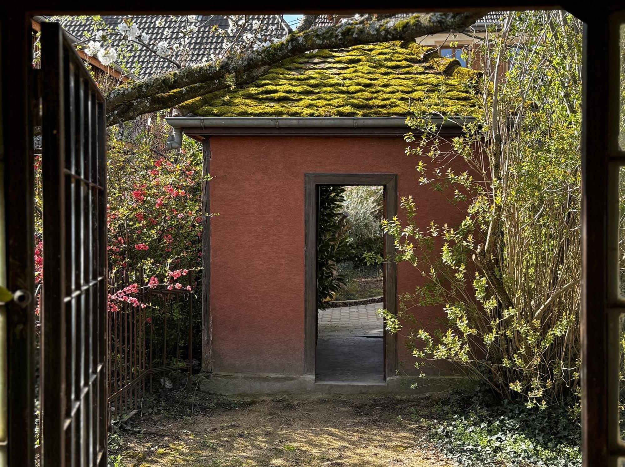 Santolina Etrusca & Sauna, Hammam, Jacuzzi Holiday home *