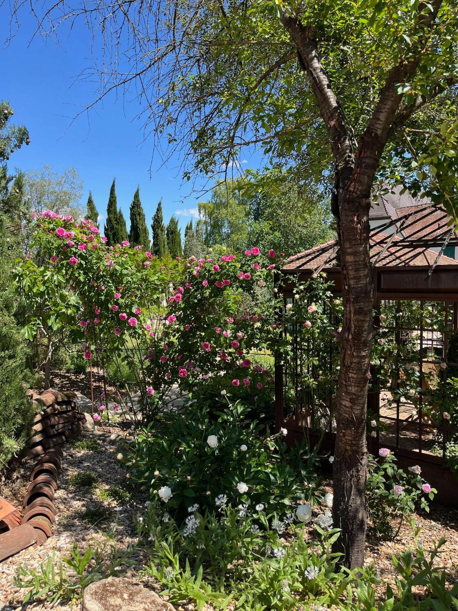 Holiday home Santolina Etrusca & Sauna, Hammam, Jacuzzi Rouffach