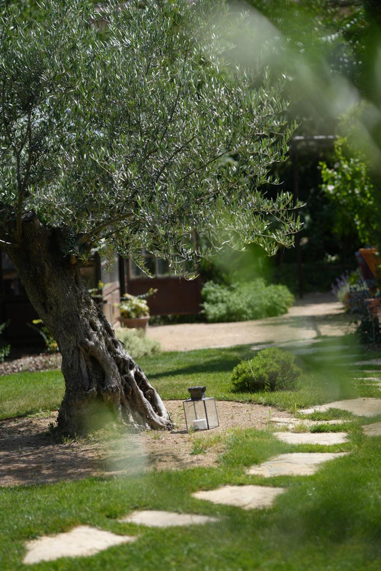 Holiday home Santolina Etrusca & Sauna, Hammam, Jacuzzi *